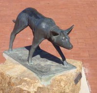 The Ardlethan Kelpie Caravan Park - Accommodation Cairns