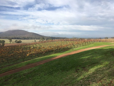 Sanguine Estate - Accommodation Cairns 29