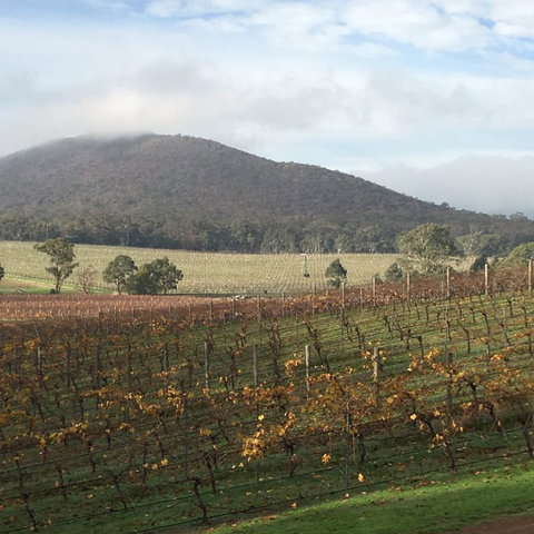 Sanguine Estate - Accommodation Cairns 22