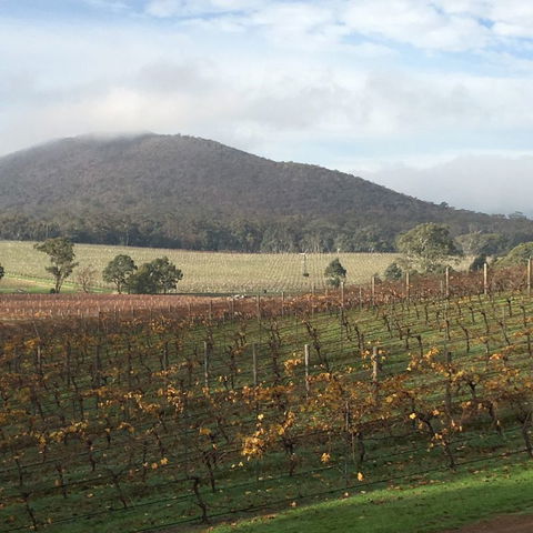 Sanguine Estate - Accommodation Cairns 14