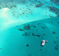 Ocean Free and Ocean Freedom - Cairns Premier Reef and Island Tours - Accommodation Cairns