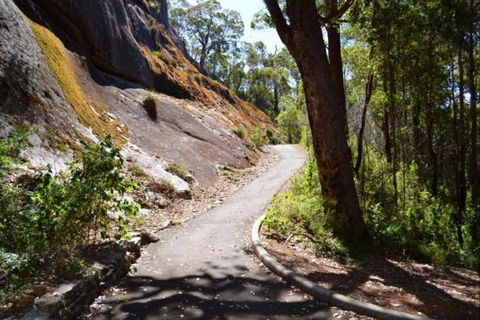 Wolfe Creek Crater Camp At Wolfe Creek Crater National Park - Accommodation Cairns 39