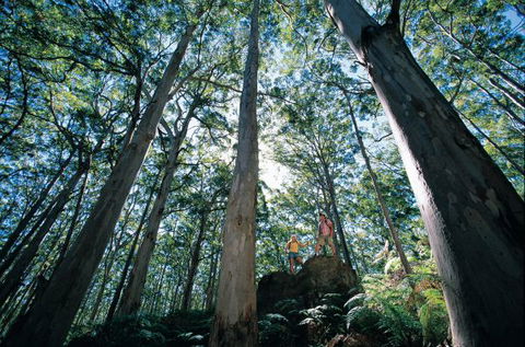 Wolfe Creek Crater Camp At Wolfe Creek Crater National Park - Accommodation Cairns 4