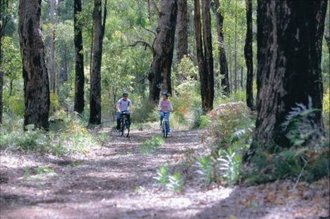 Wolfe Creek Crater Camp At Wolfe Creek Crater National Park - Accommodation Cairns 38