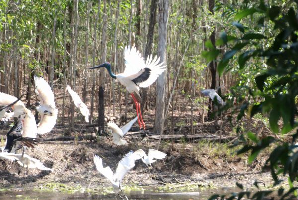 Humpty Doo NT Accommodation Cairns