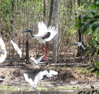 Rakhi Retreat - Accommodation Cairns