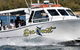 True Blue Fishing Charters - thumb 0