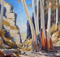 Gallery Blackheath - Accommodation Cairns