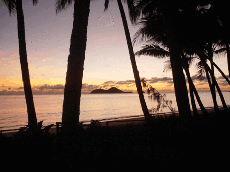 Ellis Beach Oceanfront Bungalows - Accommodation Cairns 1