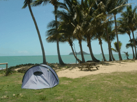 Ellis Beach Oceanfront Bungalows - thumb 2