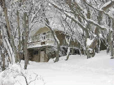 Amber Lodge - Accommodation Cairns