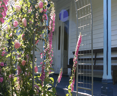 Devonport Bed And Breakfast - Accommodation Cairns