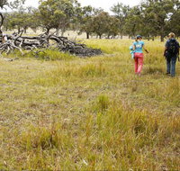 Carnarvon National Park camping - Accommodation Cairns