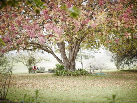 WillOaks B&B - Accommodation Cairns 8