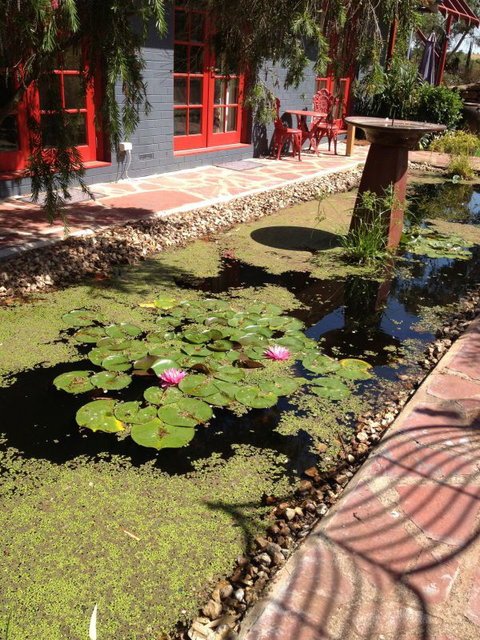 Artrocks Artist Retreat & Accommodation - Accommodation Cairns 0