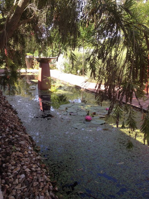 Artrocks Artist Retreat & Accommodation - Accommodation Cairns 1