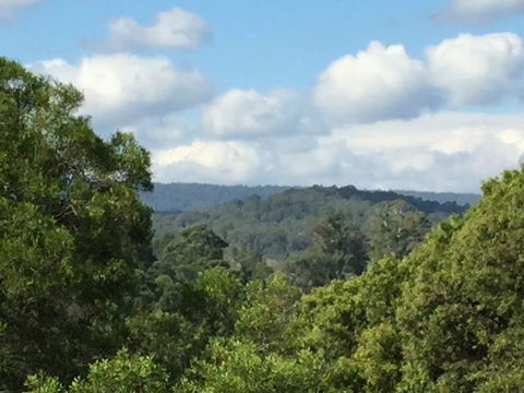 Barrington Tops Escapes - Accommodation Cairns 3