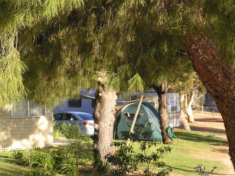 Barmera North Lake Caravan Park - Accommodation Cairns 0