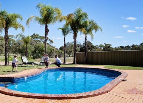 Barmera Country Club Motor Inn - Accommodation Cairns 3