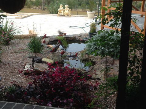 BellbirdHill Bed And Breakfast - Accommodation Cairns 8