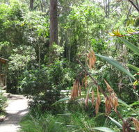 Dunns Creek Downs Nature Stay - Accommodation Cairns
