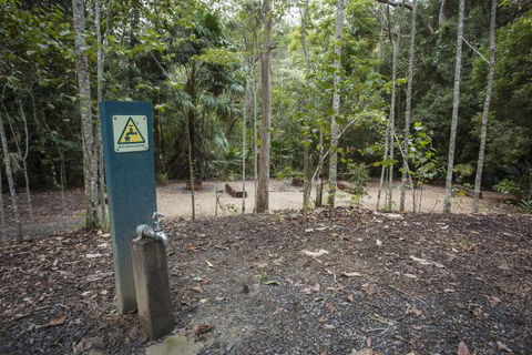Eungella National Park Camping Ground - Accommodation Cairns 2