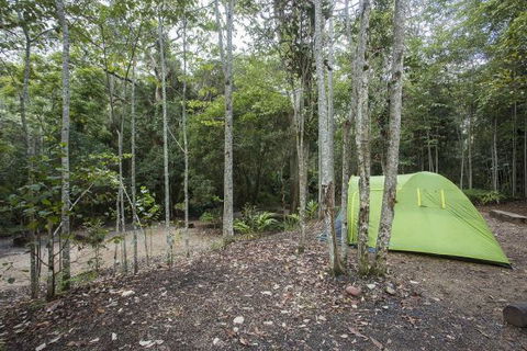 Eungella National Park Camping Ground - Accommodation Cairns 3