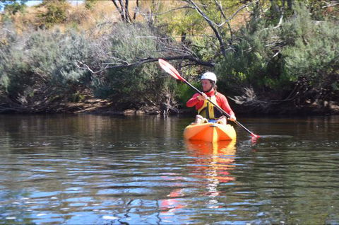 Hawthorn Lodge - Accommodation Cairns 8