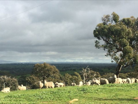 Heathcote Views Bed & Breakfast - Accommodation Cairns 5