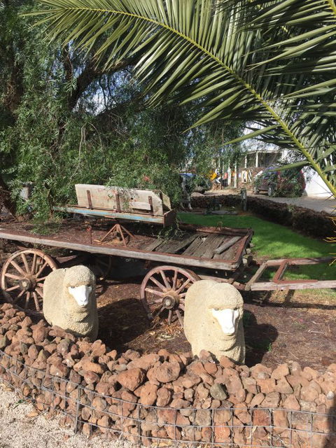 Little River Bed And Breakfast - Accommodation Cairns 5