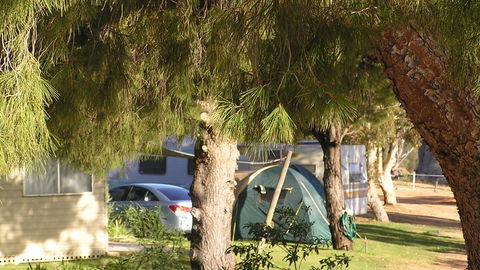 Barmera North Lake Caravan Park - Accommodation Cairns 4