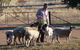 Selby Organic Farm Stay - thumb 4
