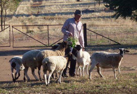 Selby Organic Farm Stay - Accommodation Cairns 4