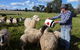 Selby Organic Farm Stay - thumb 6