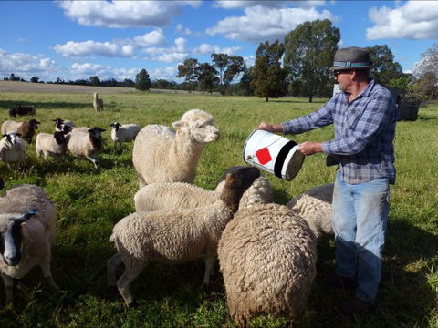 Selby Organic Farm Stay - Accommodation Cairns 6