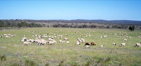 Selby Organic Farm Stay - Accommodation Cairns 7