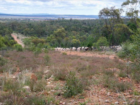 Selby Organic Farm Stay - Accommodation Cairns 8