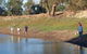 Selby Organic Farm Stay - thumb 9