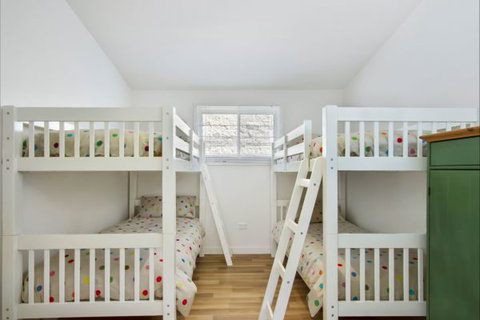 Seahorse - Accommodation Cairns 5