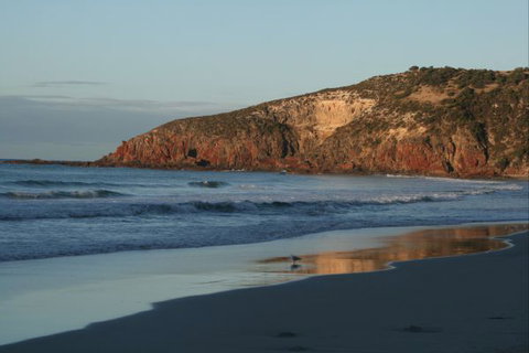 Tammar Ridge - Accommodation Cairns 8