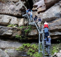 Takarakka Bush Resort Carnarvon Gorge - Accommodation Cairns