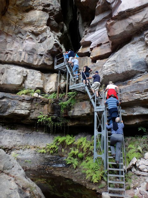 Takarakka Bush Resort Carnarvon Gorge - Accommodation Cairns 0