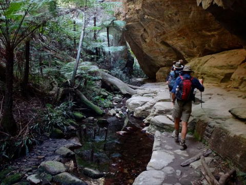 Takarakka Bush Resort Carnarvon Gorge - Accommodation Cairns 6