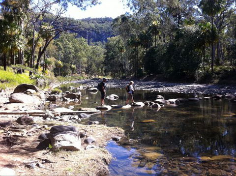 Takarakka Bush Resort Carnarvon Gorge - Accommodation Cairns 9