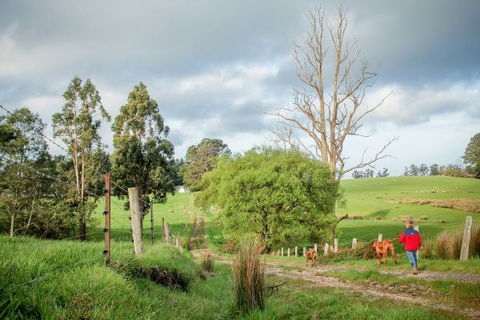 Wines For Joanie Cottage - Accommodation Cairns 6