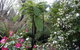 Adelaide Hills B&B Accommodation - thumb 3