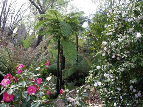 Adelaide Hills B&B Accommodation - Accommodation Cairns 3