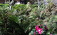 Adelaide Hills B&B Accommodation - thumb 6