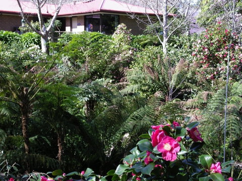 Adelaide Hills B&B Accommodation - Accommodation Cairns 6