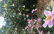 Adelaide Hills B&B Accommodation - thumb 7
